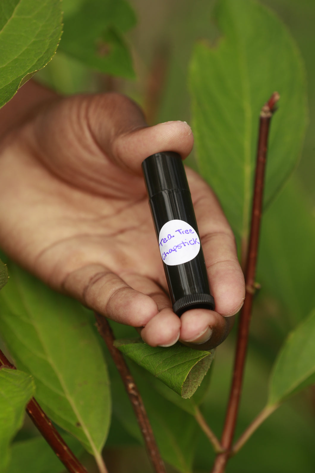 Tea Tree Lip Balm